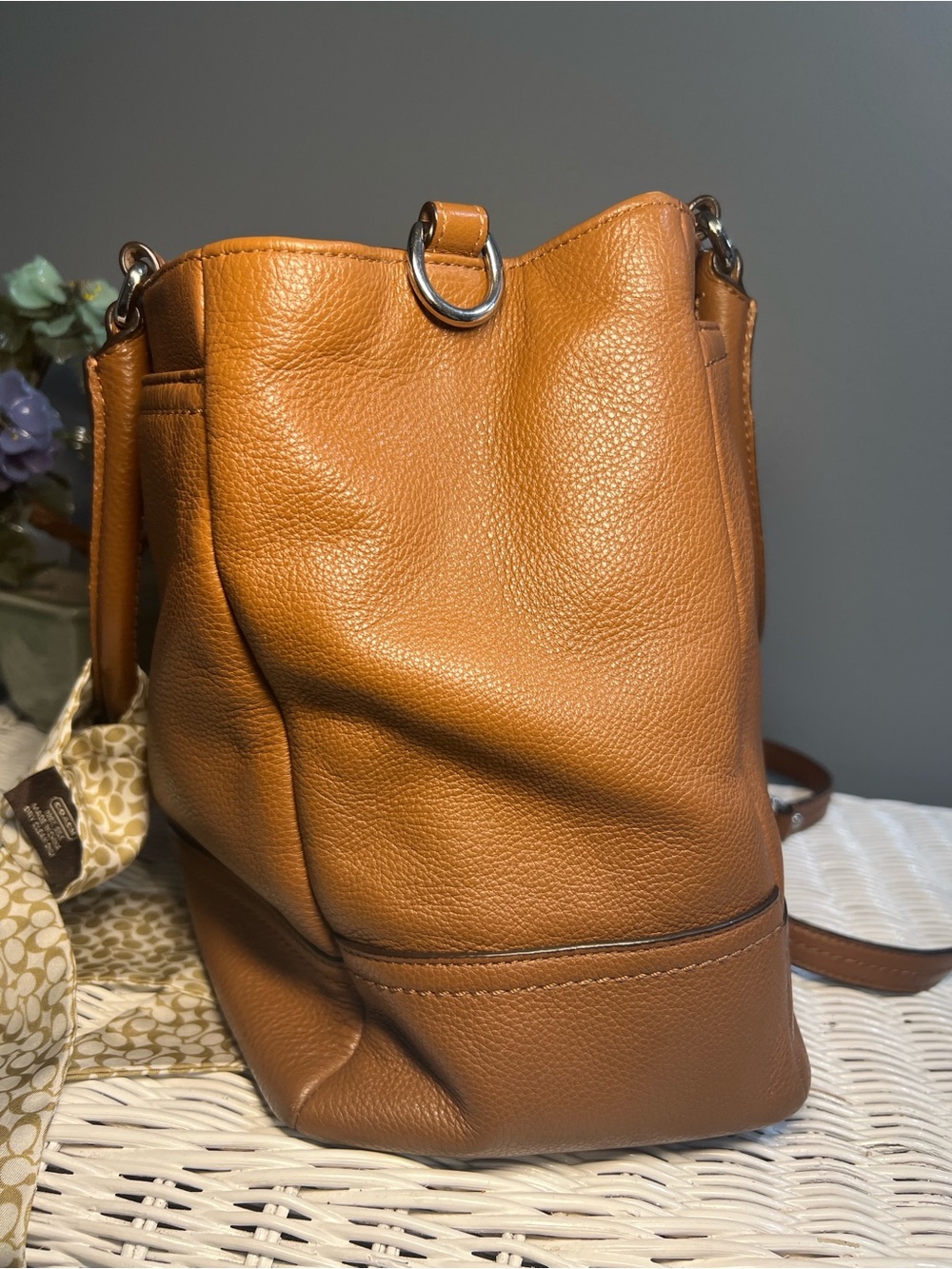 Coach Park Carryall Bag - Picture 6 of 16